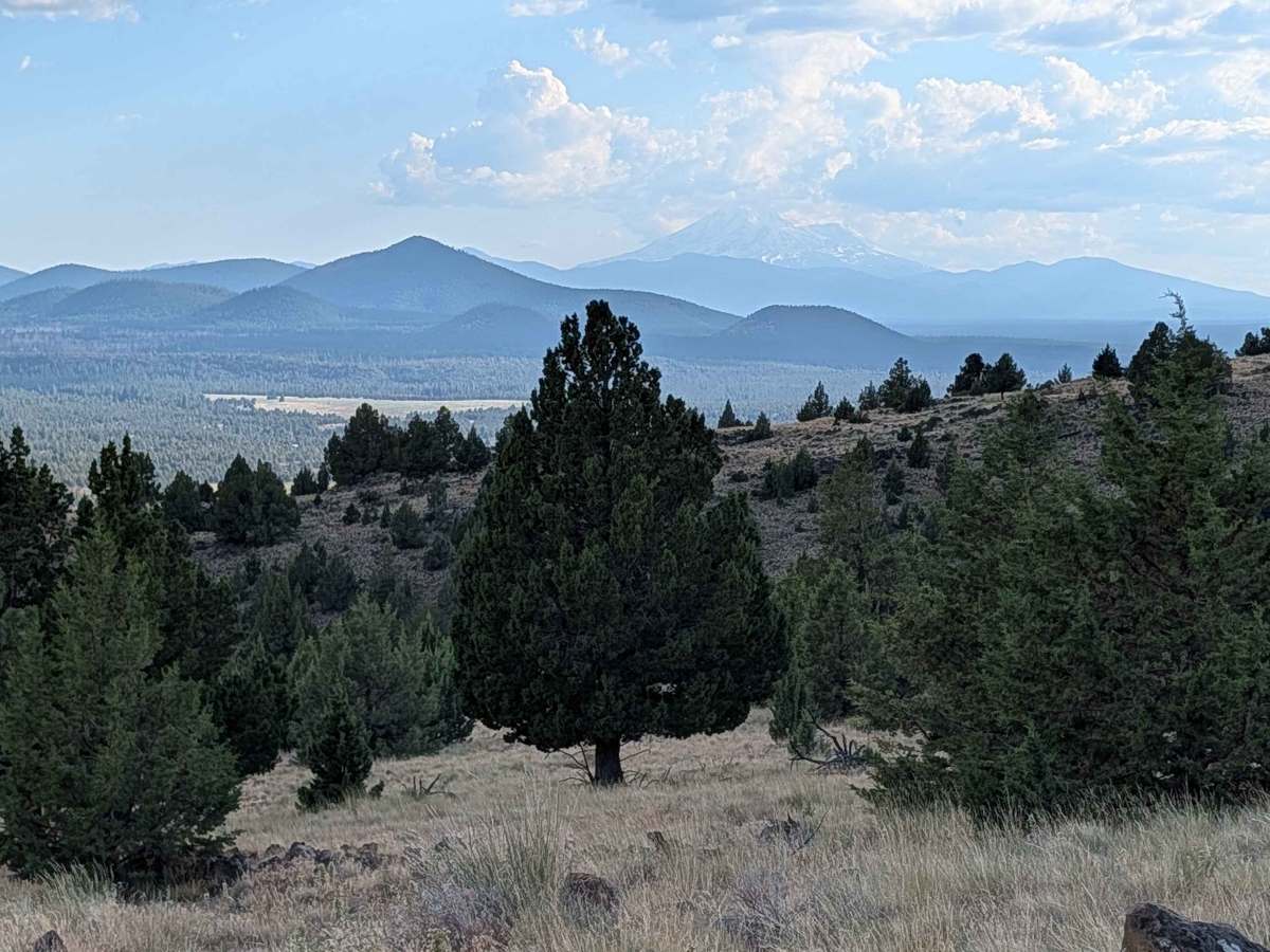FS 46A21F trail photo