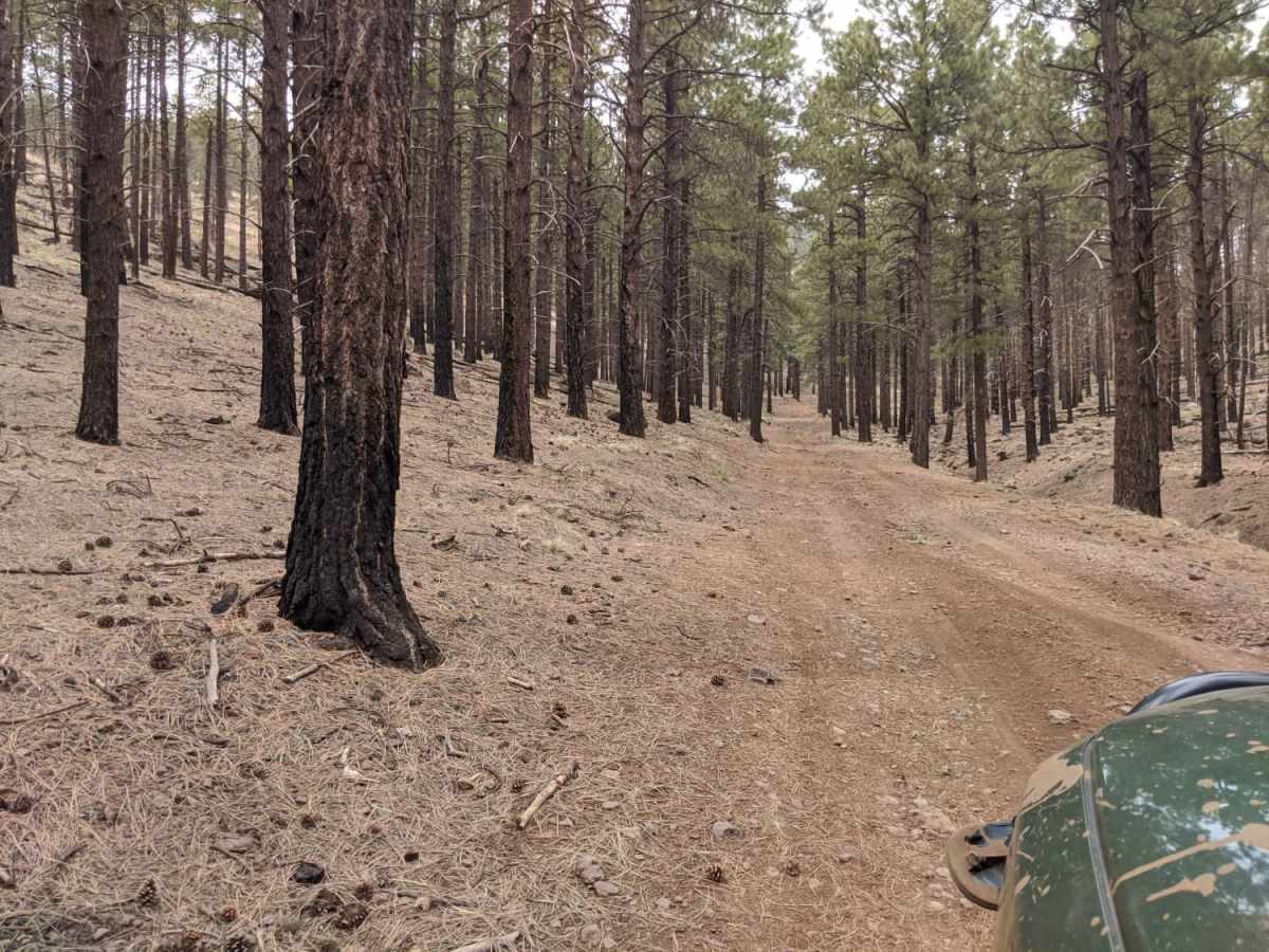 Old 190 Kendrick Trailhead photo 4
