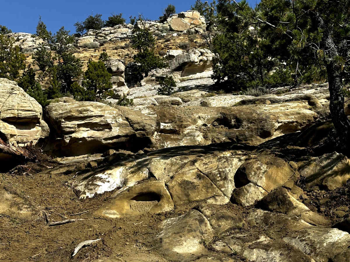 Slick Rock photo 2