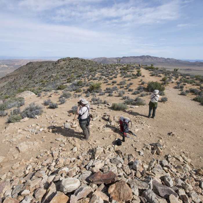 Near Ryan Mountain Trail