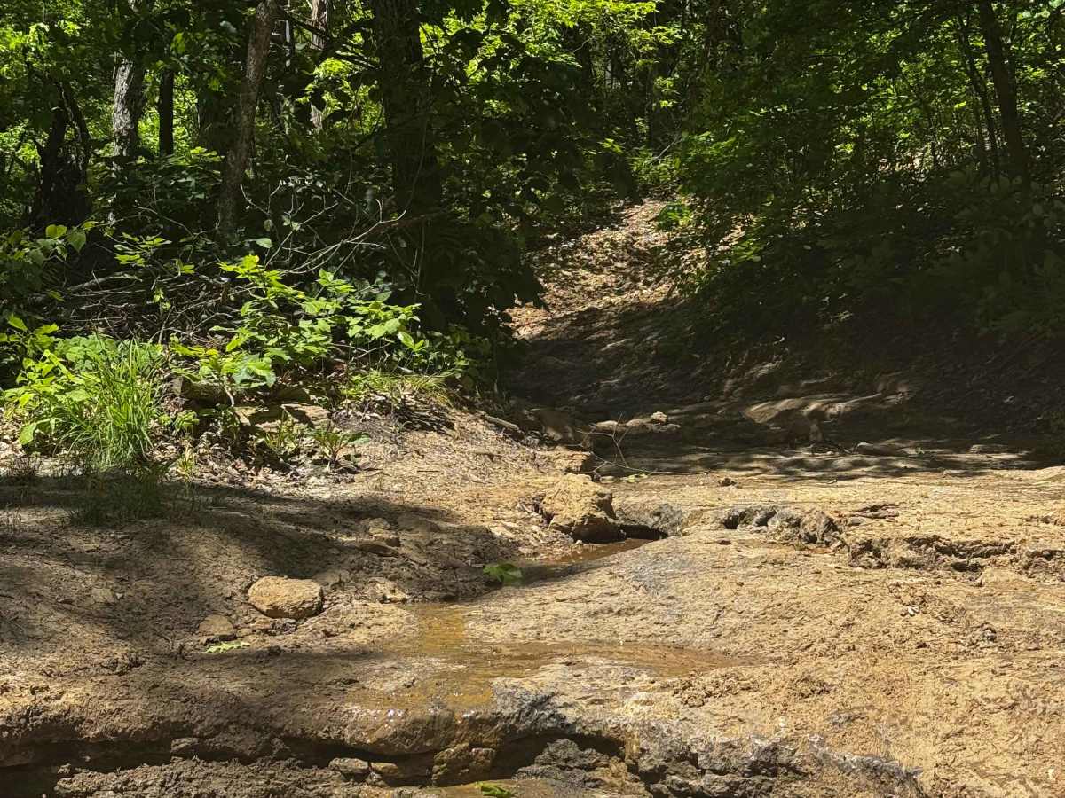 Waterfall Hill  photo 2