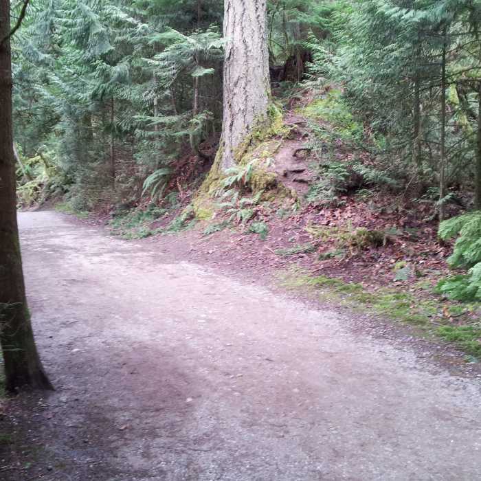 Near Padden Southwest Trail