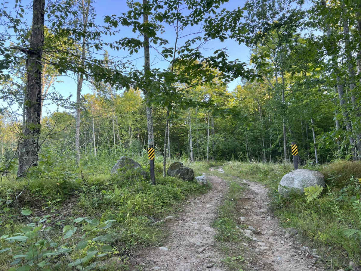 Forest County ATV/SXS 8 Mile Loop Trail 1 photo 2