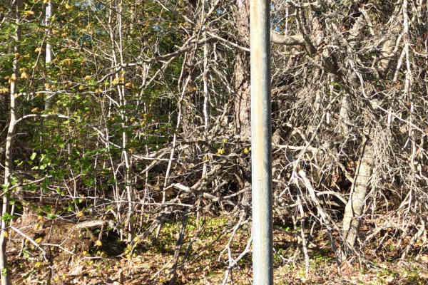 North Brooks Road