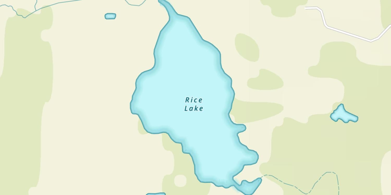 Rice Lake