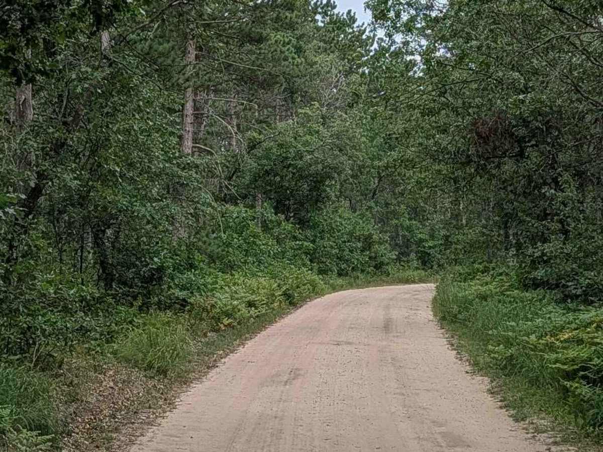 Brownell Road - FS 4510 photo 6