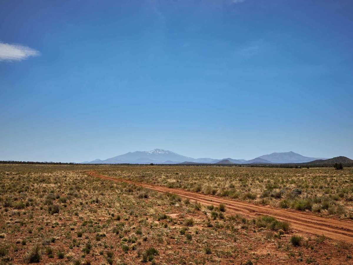 Harbison Bloody Tank Road photo 2