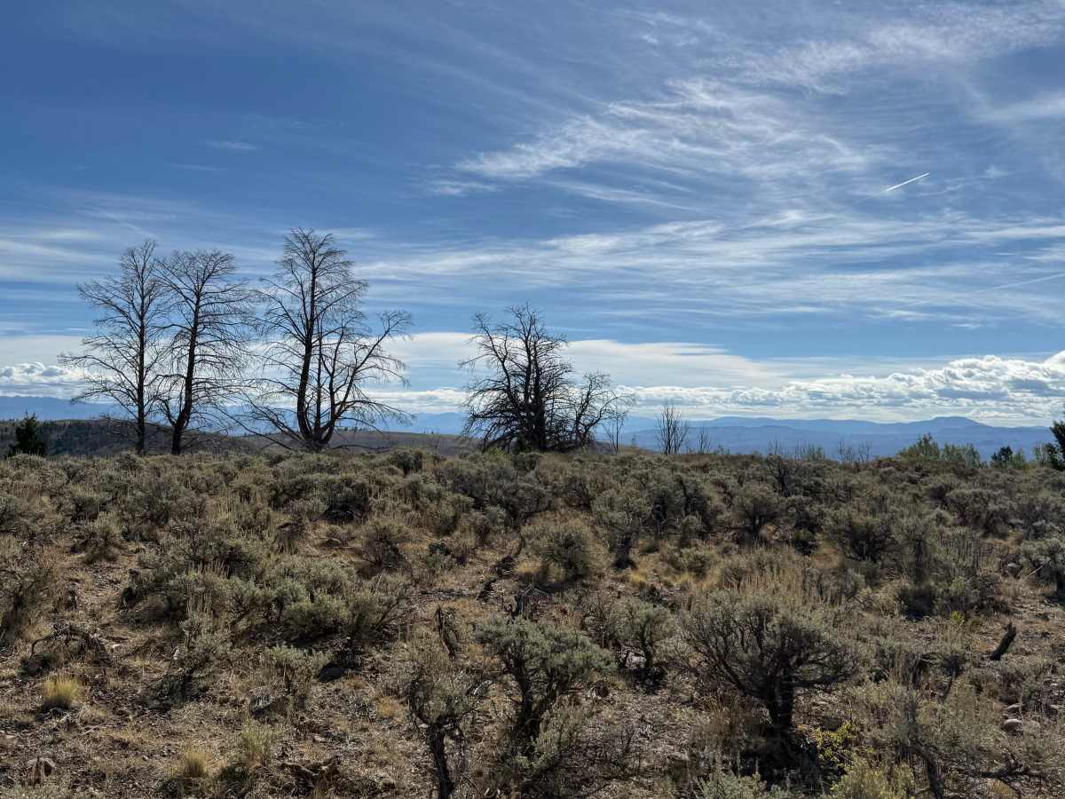 East Fork Spur 2 photo 3