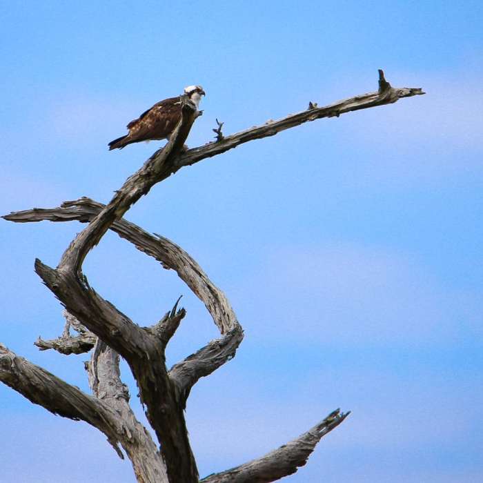 Near Sugar Mill Nature Trail Near Sugar Mill Nature Trail