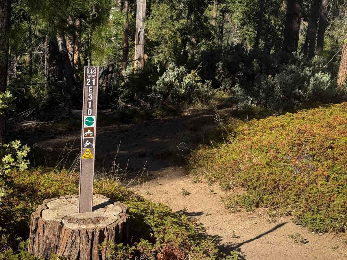 21E310 trail photo