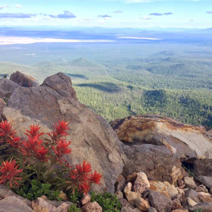 Near Mount Scott Trail