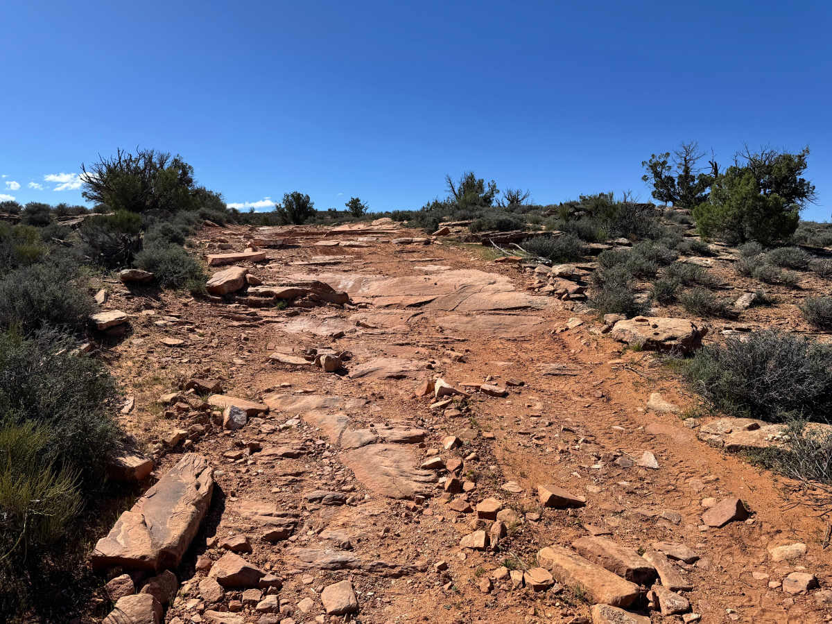 Yellow Jacket Canyon Overlook photo 4
