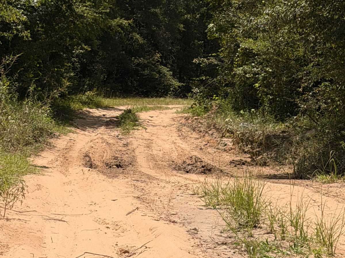 Buck Island Boat Ramp Trail photo 6