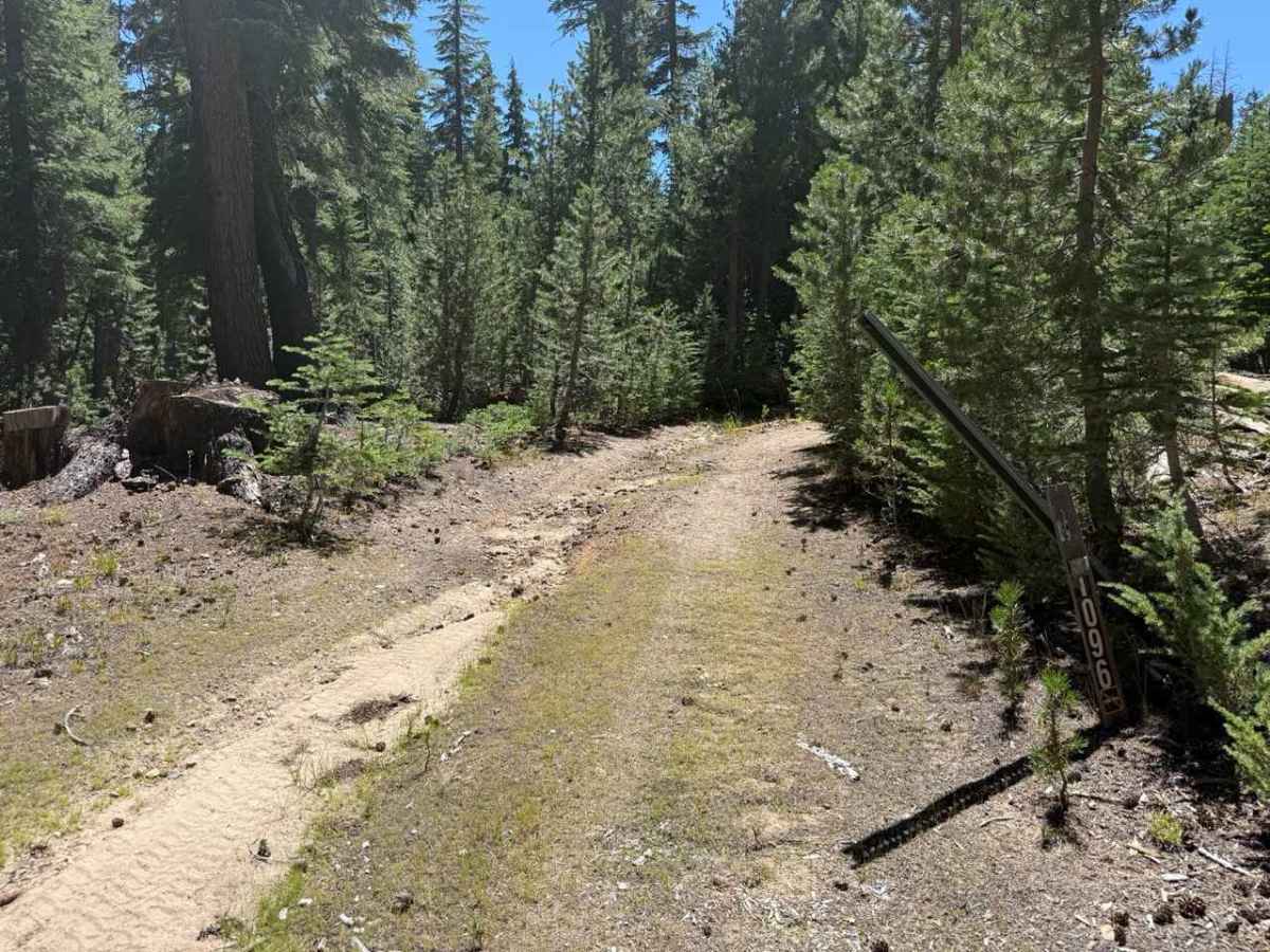 Blue Basin Road - FS 31096 photo 4