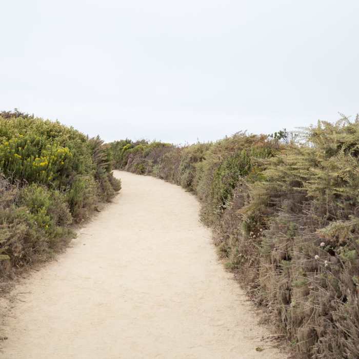 Near Sea Lion Point + Sand Hill Trails