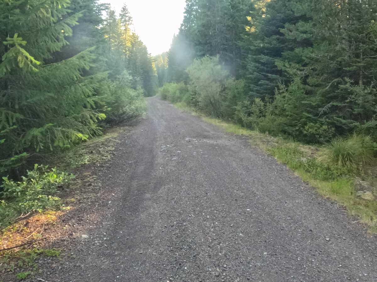 Camp Creek Road - FS 2266-330 photo 5