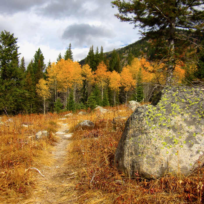 Near Snowslide to Lake Fork