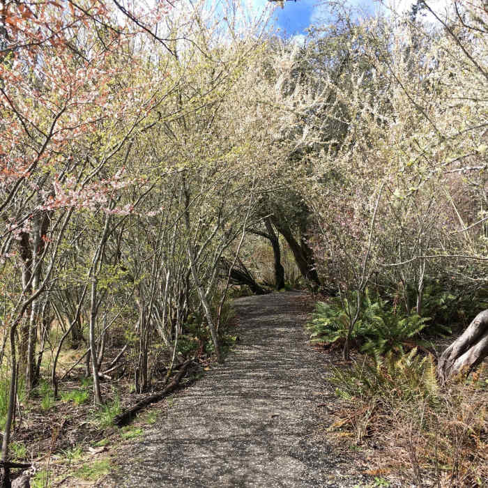Near Blakely Cemetery Trail