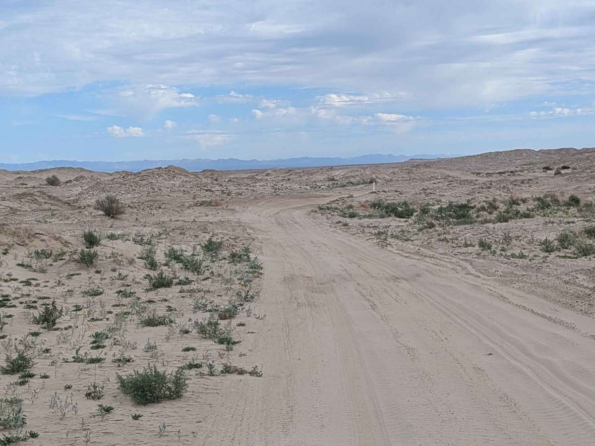 Sand Rail Wash photo 6