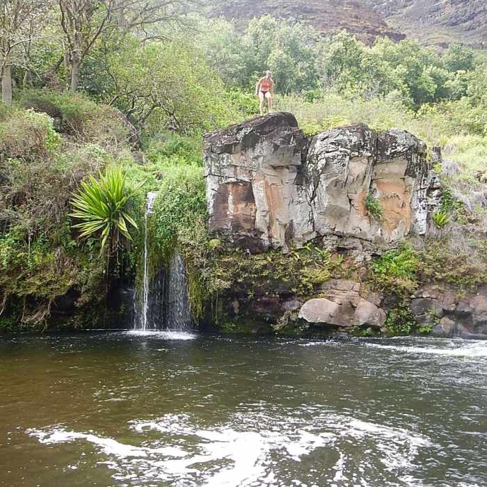 Near Lonomea via the Kukui Trail Near Lonomea via the Kukui Trail