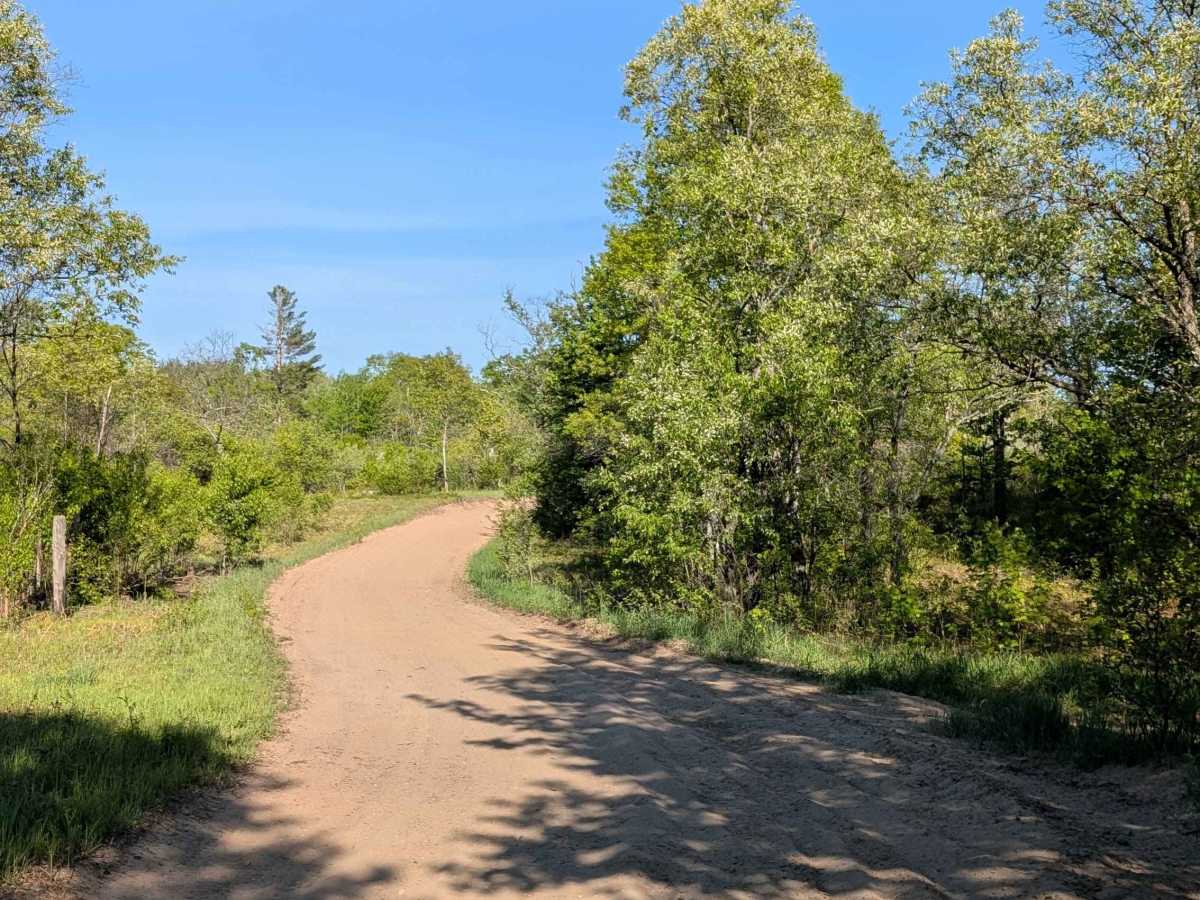 Trail 4655 photo 3