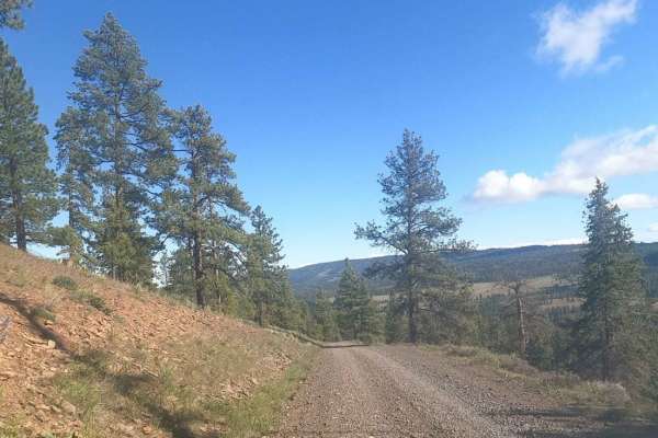 Bald Mountain Road - NF1701