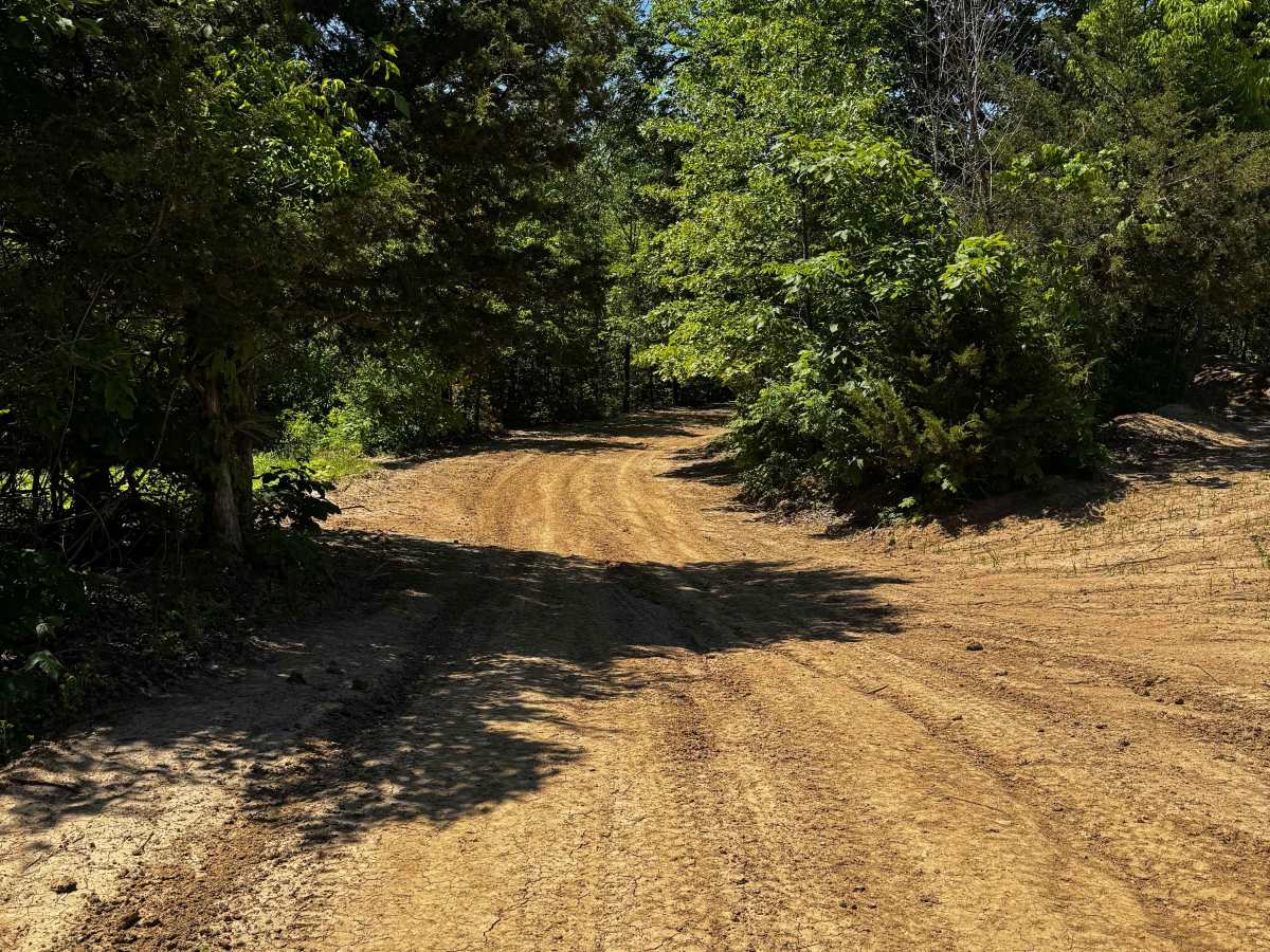 Straight Cut trail photo