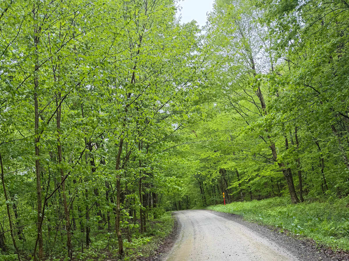 Goodhines Road photo 2