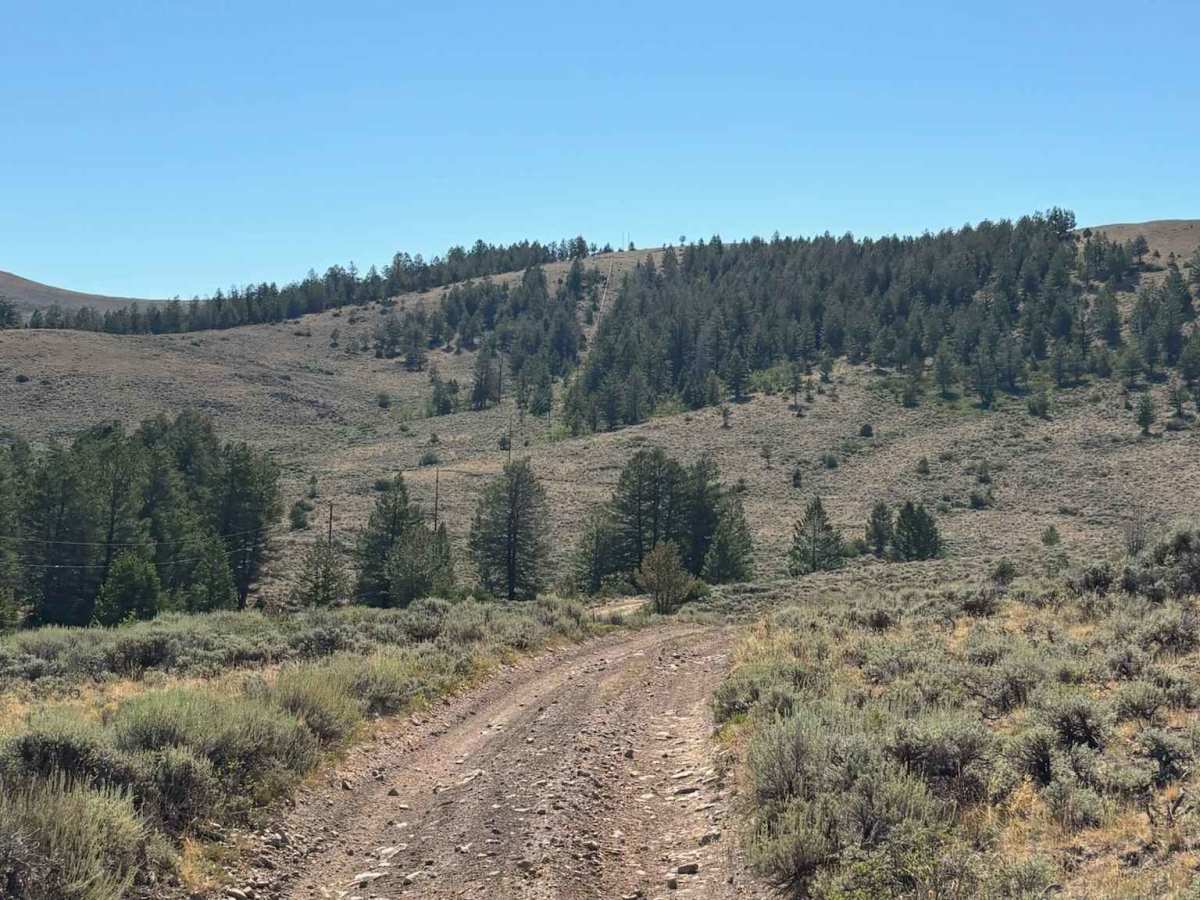 Little Wolford Mountain Access photo 3