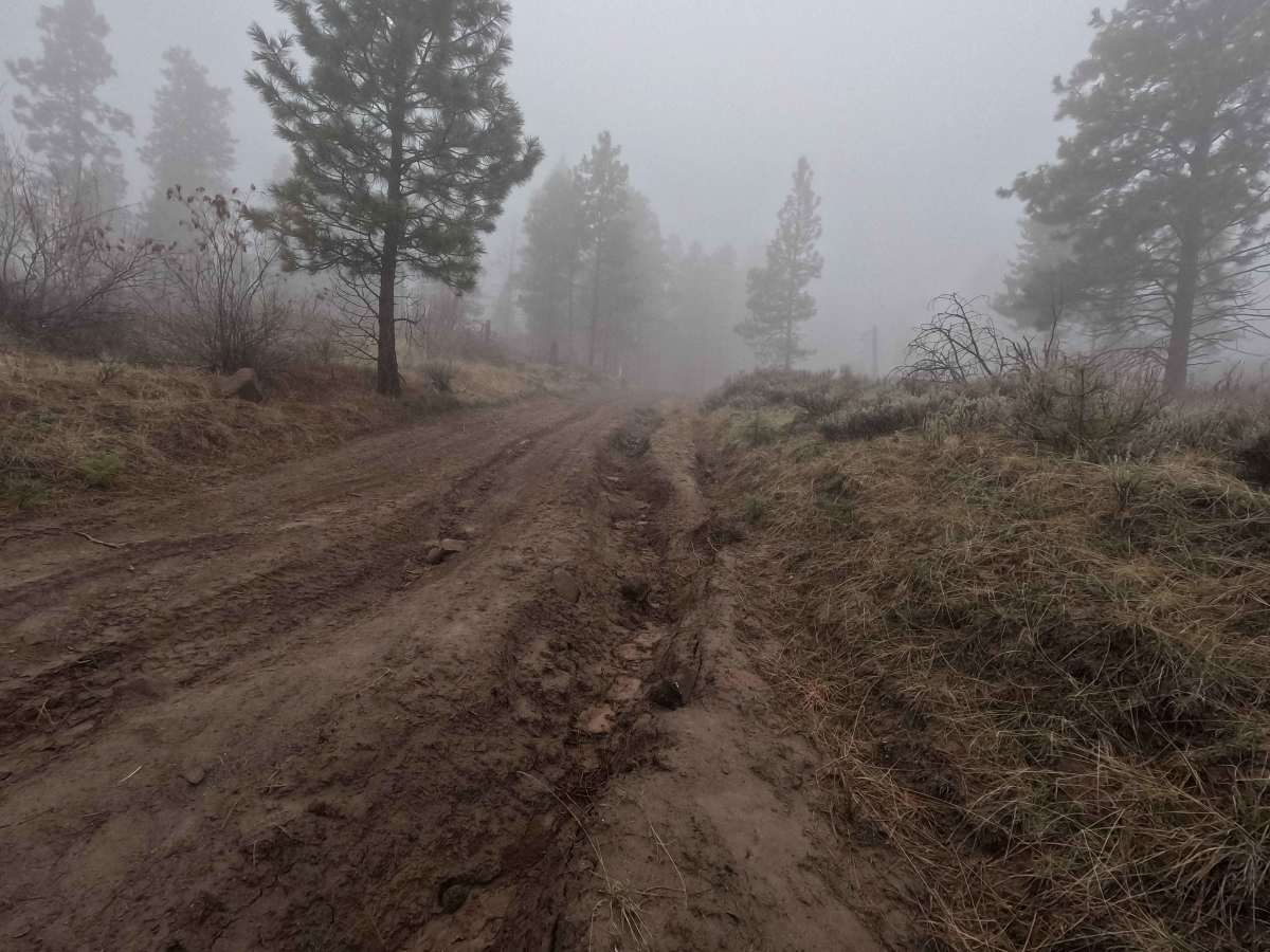 Tarpiscan Road Spur photo 4