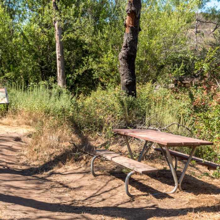 Near Martha's Grove Trail Loop