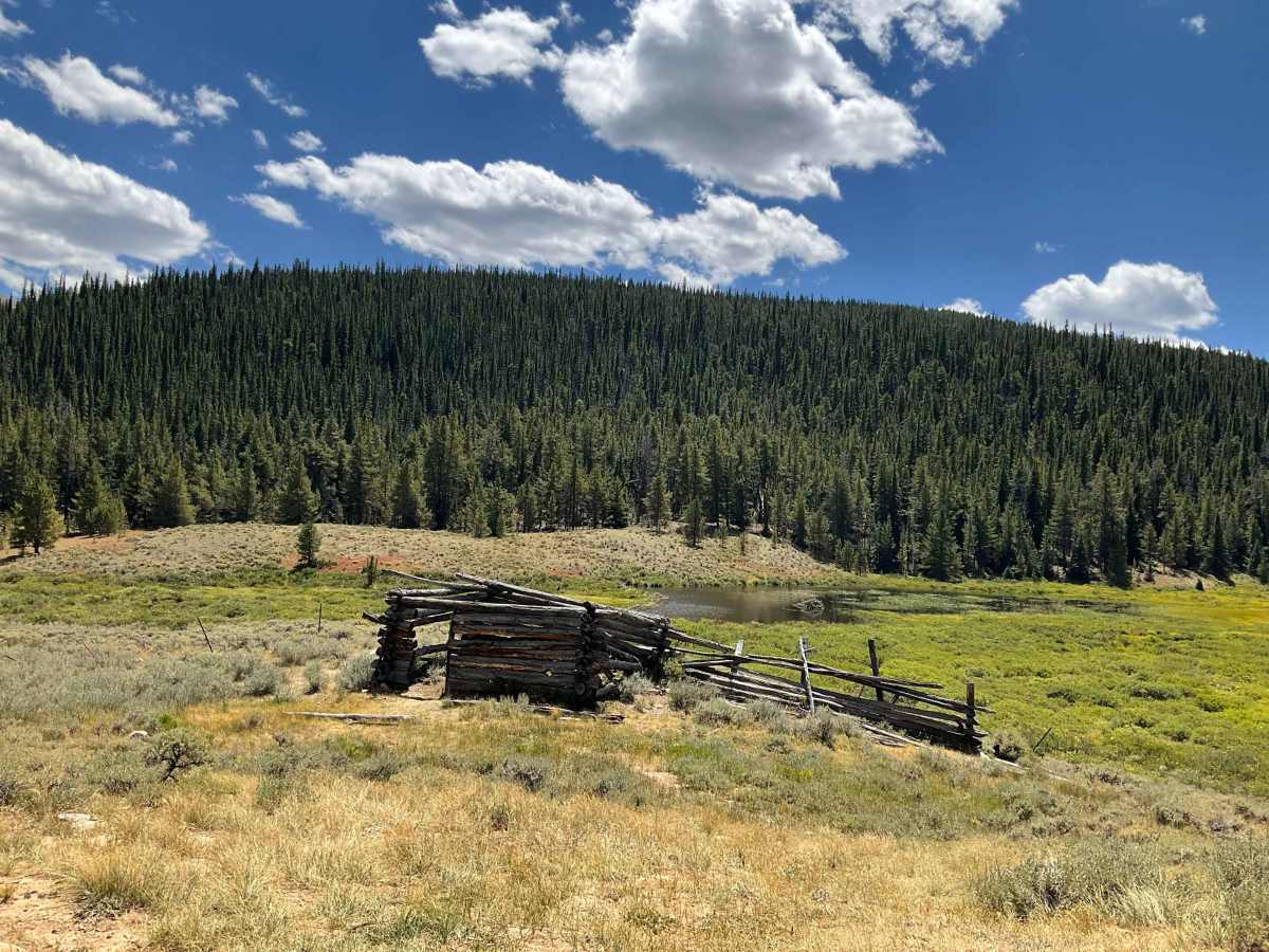 Pass Creek Branch Road photo 4