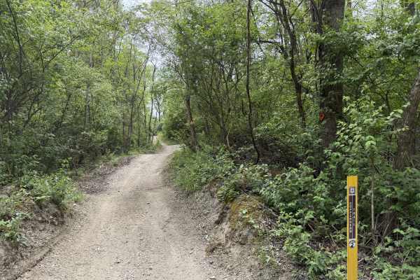 Copperhead Trail