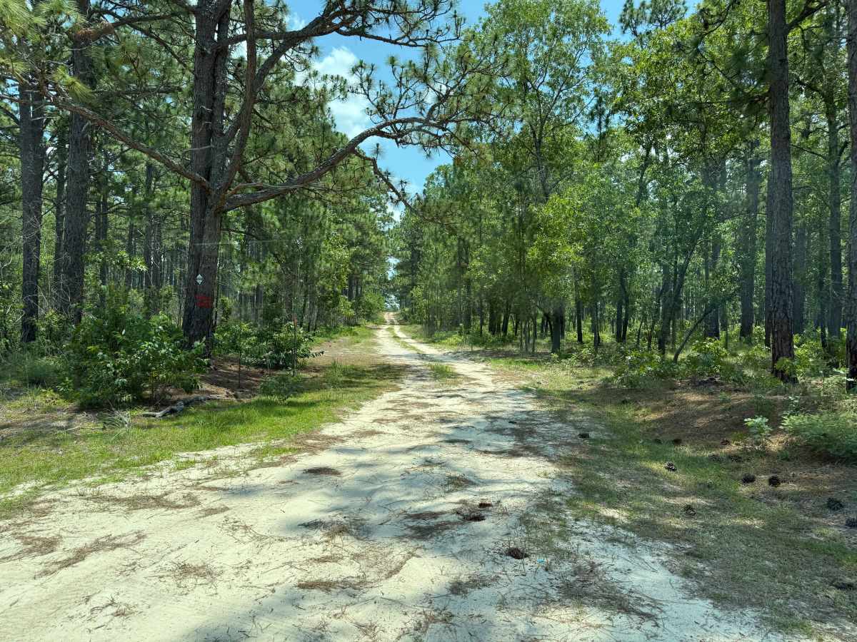 Nursery Lane trail photo