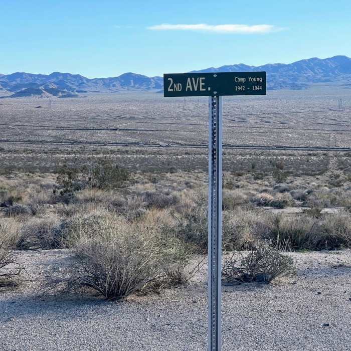 Near Chiriaco Summit