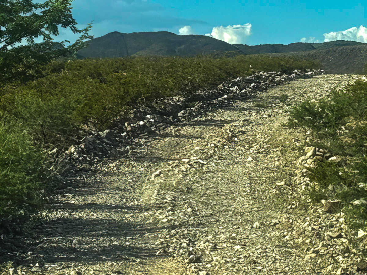 Ss1126 photo 4
