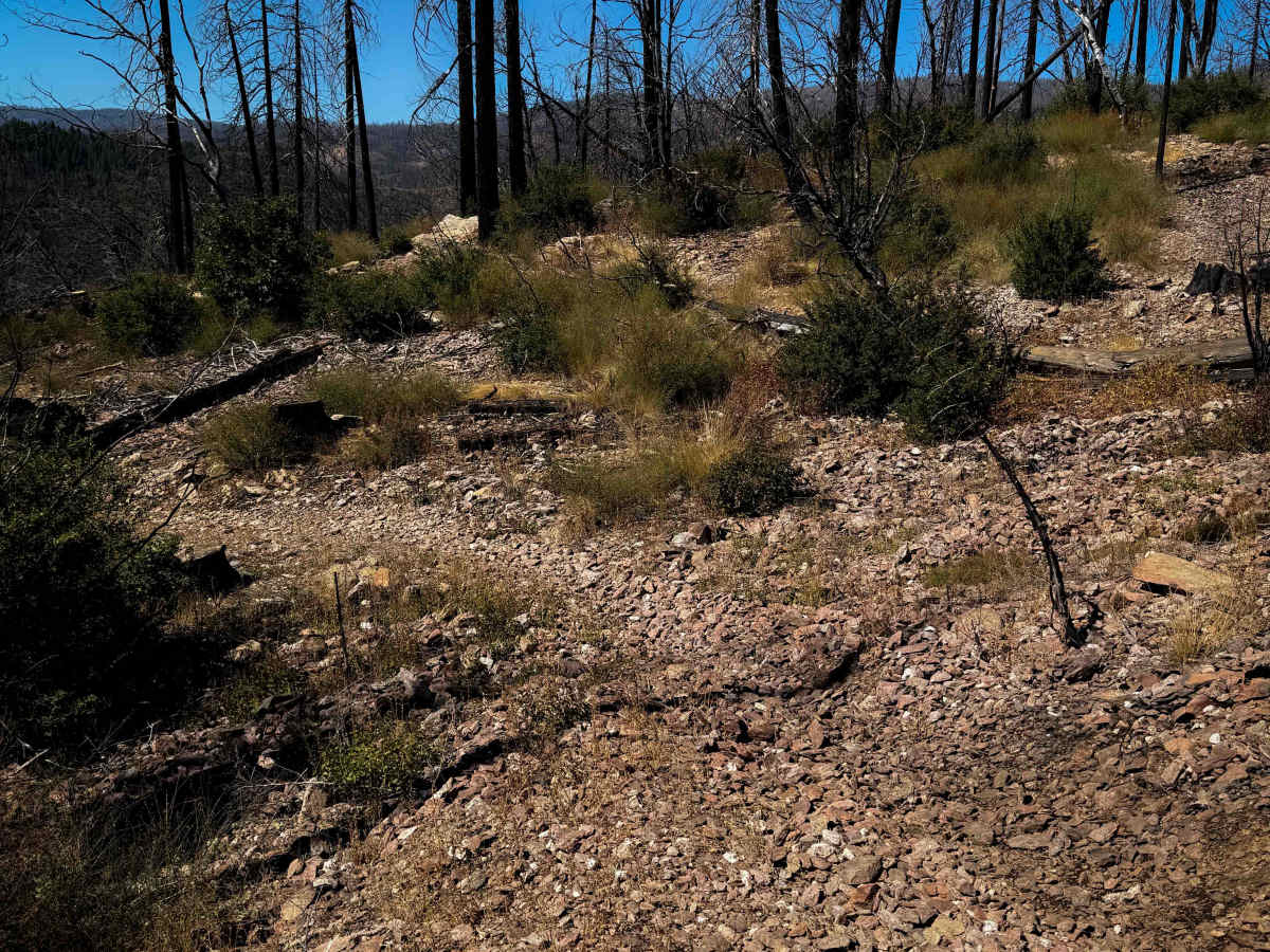 Lower Indian Falls Ridge  photo 6