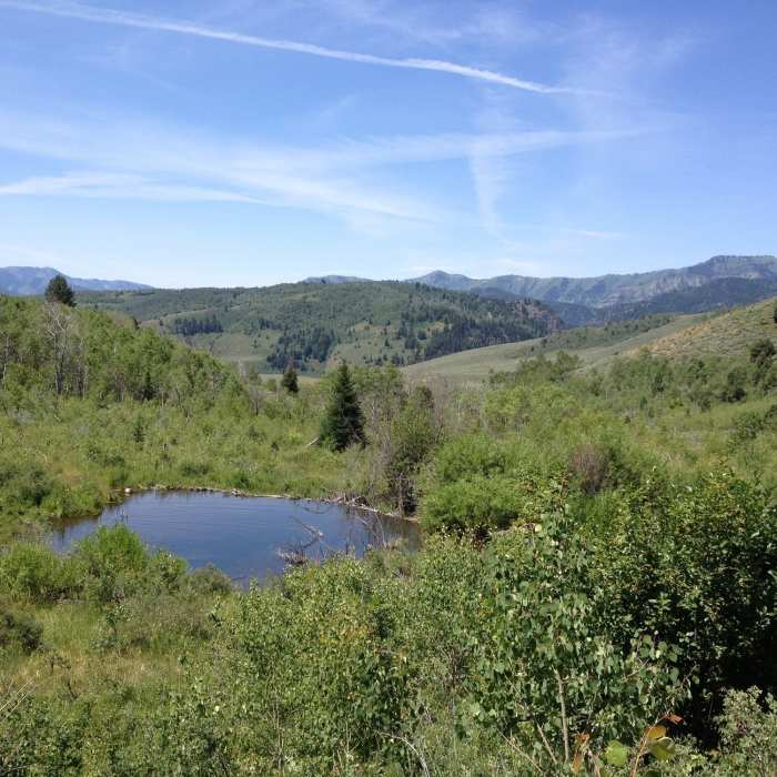 Near Spawn Creek Trail Out and Back