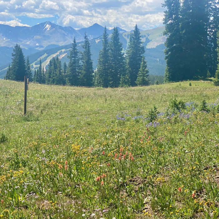 Near Gore Range to Wheeler Lakes