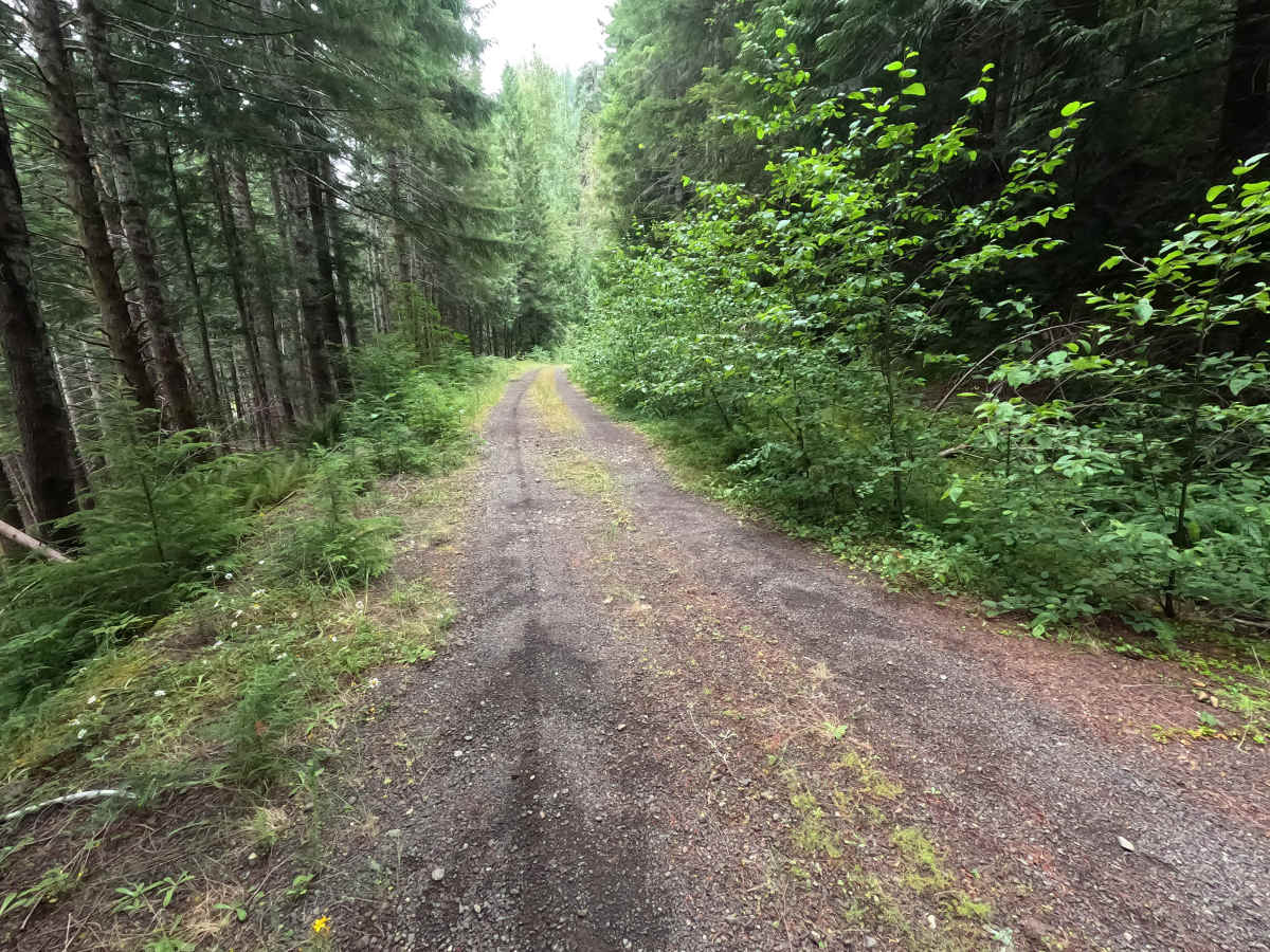 Church Creek East Trailhead - FS 2361600 photo 2