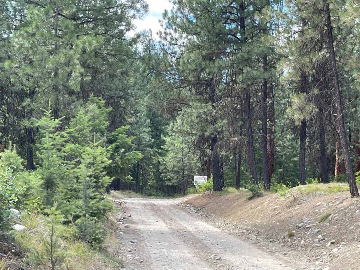 Bear Creek photo 5