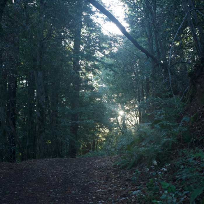 Near Grabtown Gulch - Borden Hatch Mill Loop Trail