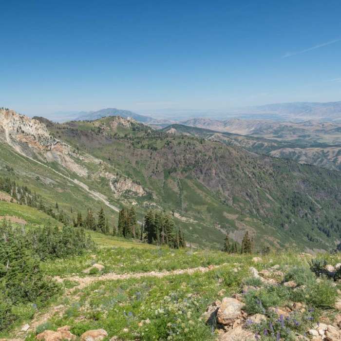 Near Ben Lomond via Inspiration Point
