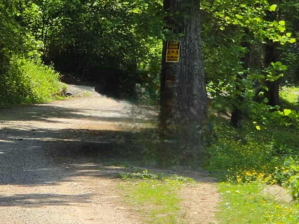 Cool Springs Road photo 6