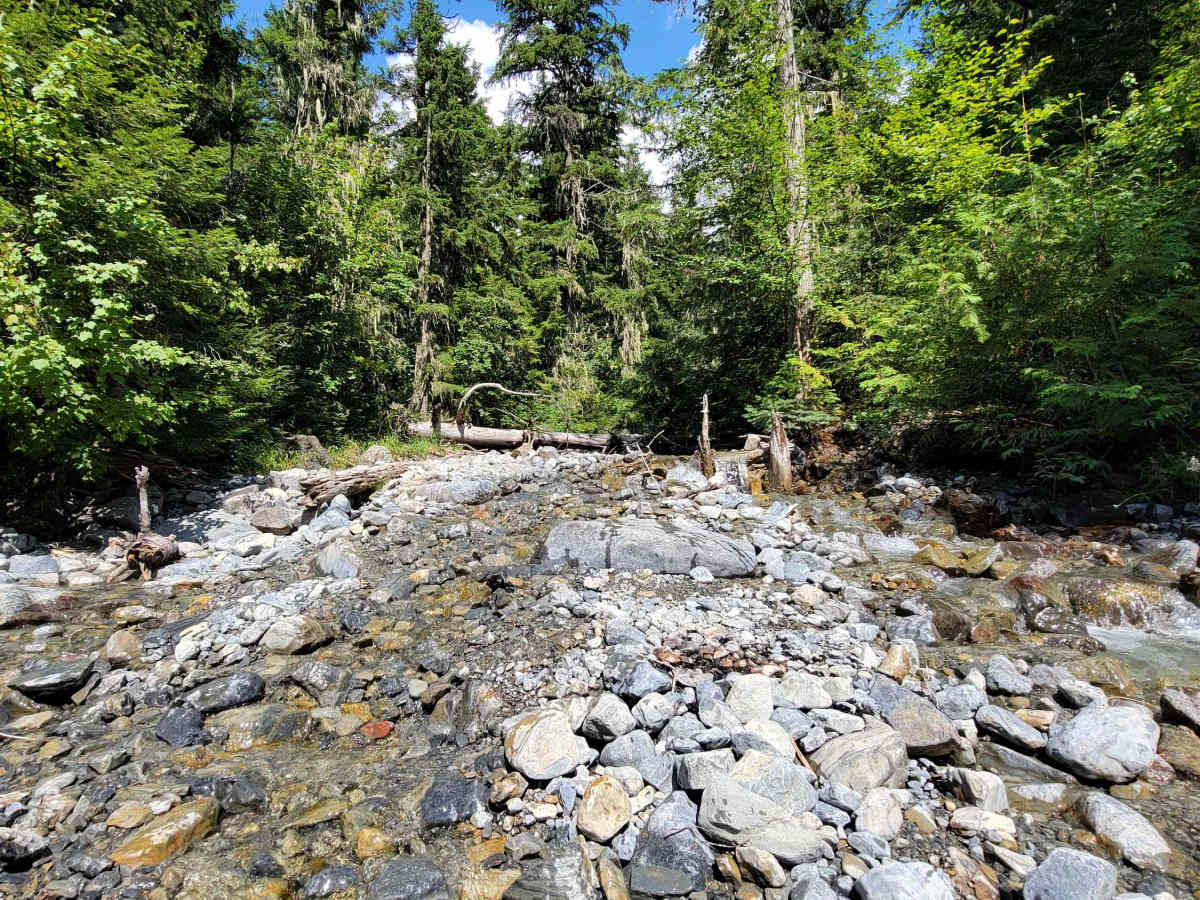 Strawberry Lake Trail photo 5