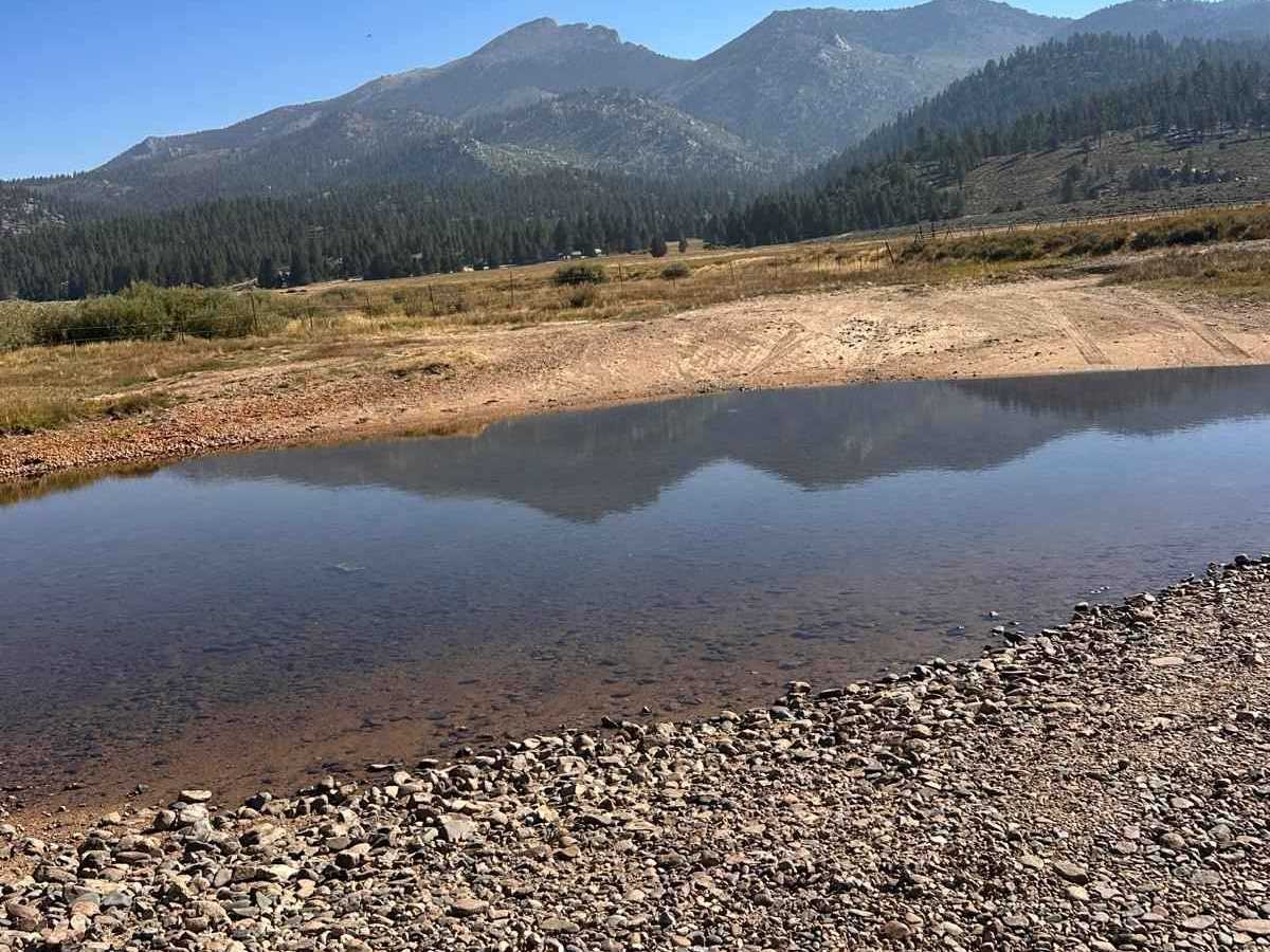 Monache Meadow - 20S05 Loop photo 2
