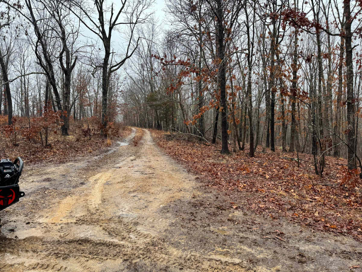 FS 1534 trail photo