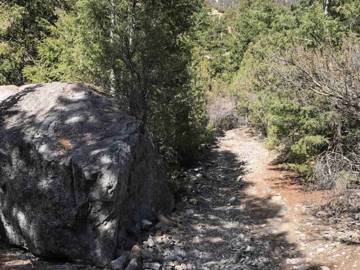 Jaggles Canyon photo 4