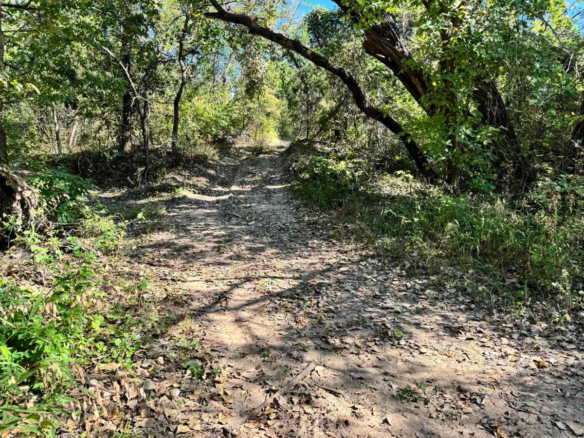 Gear Oil Gap trail photo