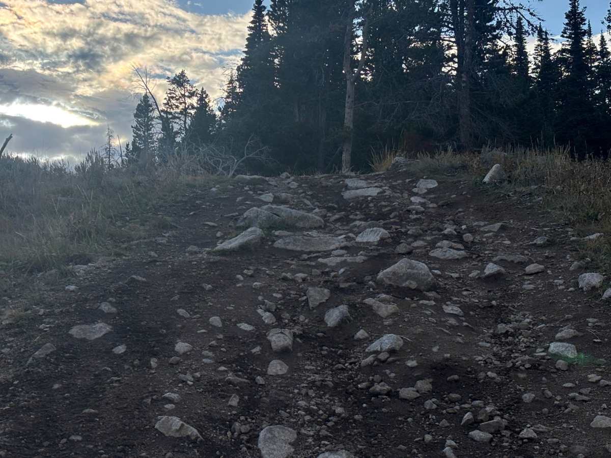 Blaine Mountain Road photo 3